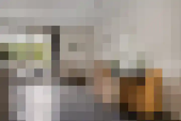 Spreeuwenburgerweg 15 Oisterwijk thumbnail 14