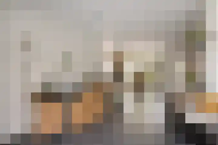 Spreeuwenburgerweg 15 Oisterwijk thumbnail 15