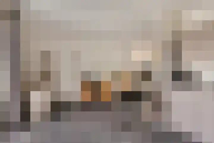Spreeuwenburgerweg 15 Oisterwijk thumbnail 17