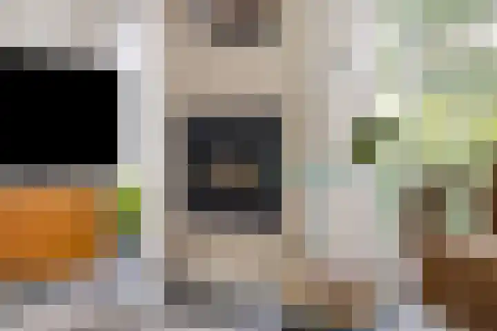 Spreeuwenburgerweg 15 Oisterwijk thumbnail 19