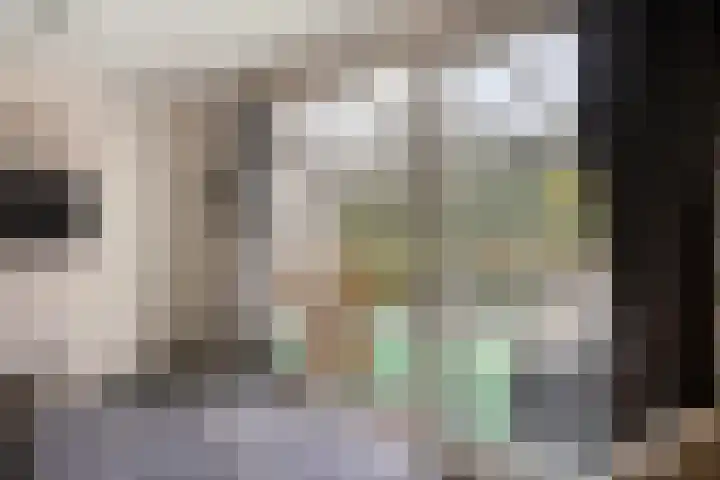 Spreeuwenburgerweg 15 Oisterwijk thumbnail 20