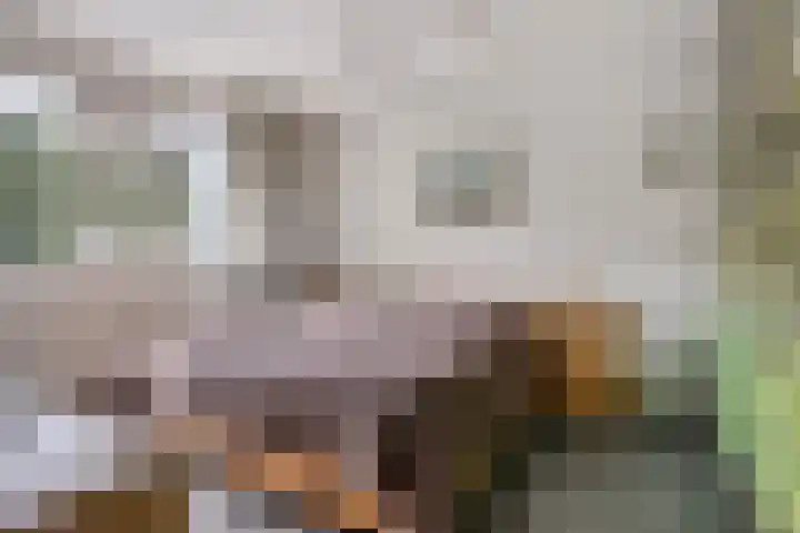 Spreeuwenburgerweg 15 Oisterwijk thumbnail 27