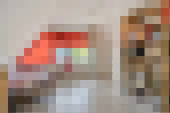 Spreeuwenburgerweg 15 Oisterwijk thumbnail 33