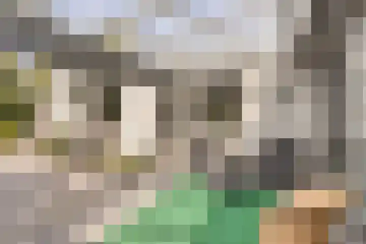 Spreeuwenburgerweg 15 Oisterwijk thumbnail 35