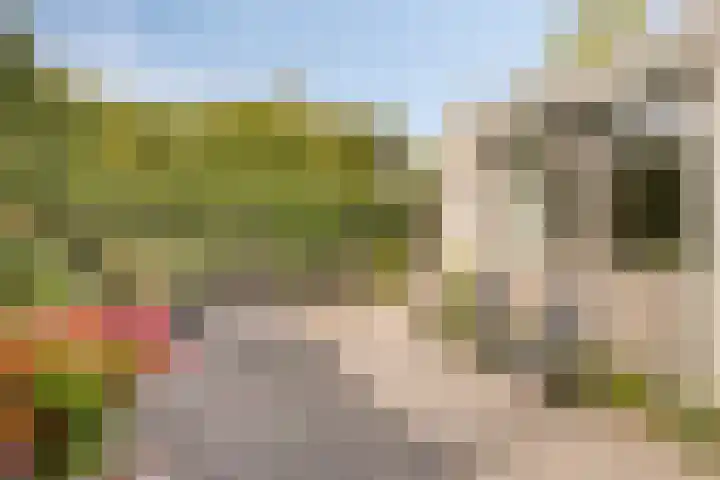 Spreeuwenburgerweg 15 Oisterwijk thumbnail 38