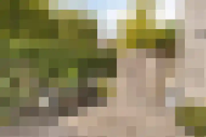 Spreeuwenburgerweg 15 Oisterwijk thumbnail 39
