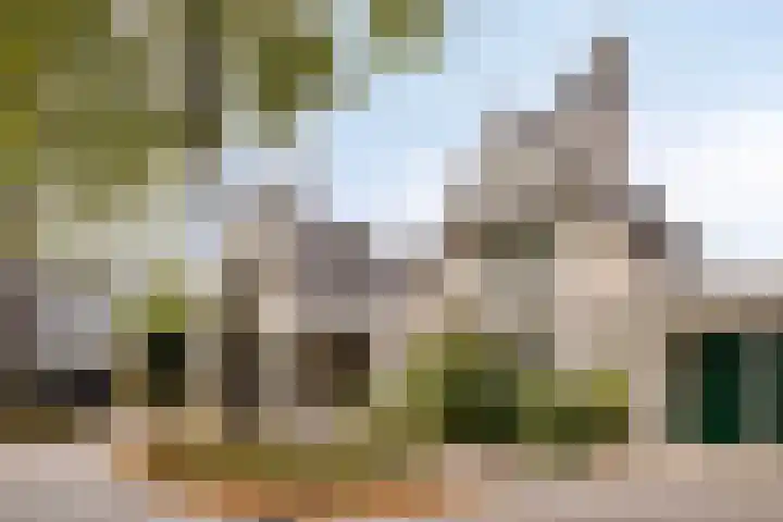 Spreeuwenburgerweg 15 Oisterwijk thumbnail 41