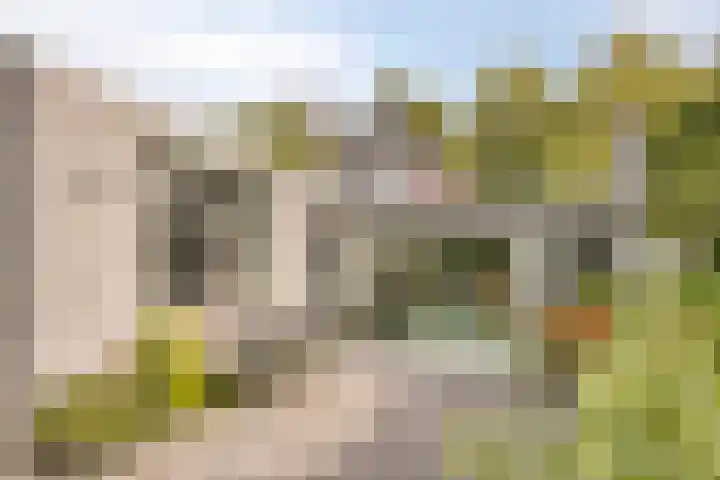 Spreeuwenburgerweg 15 Oisterwijk thumbnail 5