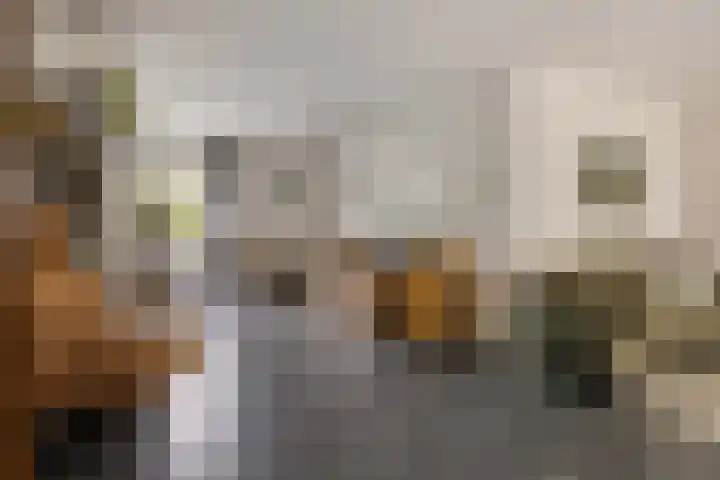 Spreeuwenburgerweg 15 Oisterwijk thumbnail 9