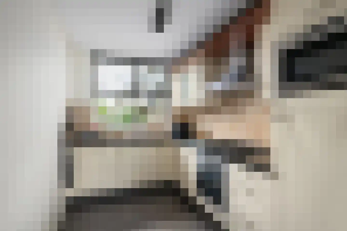 Spreeuwendaal 16 Nieuwerkerk aan den IJssel thumbnail 10