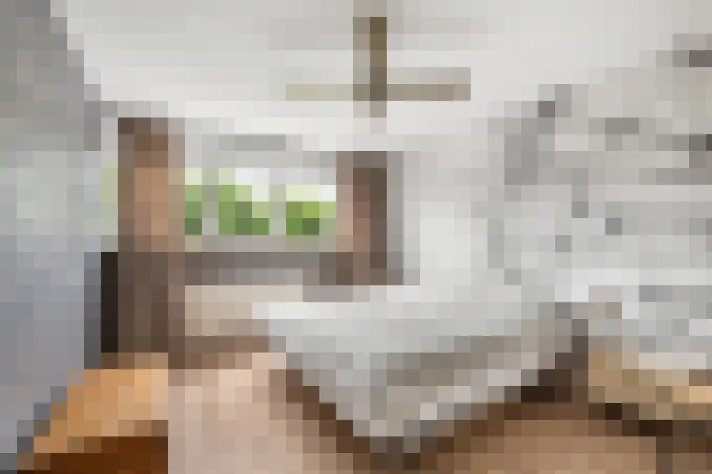 Spreeuwendaal 16 Nieuwerkerk aan den IJssel thumbnail 13