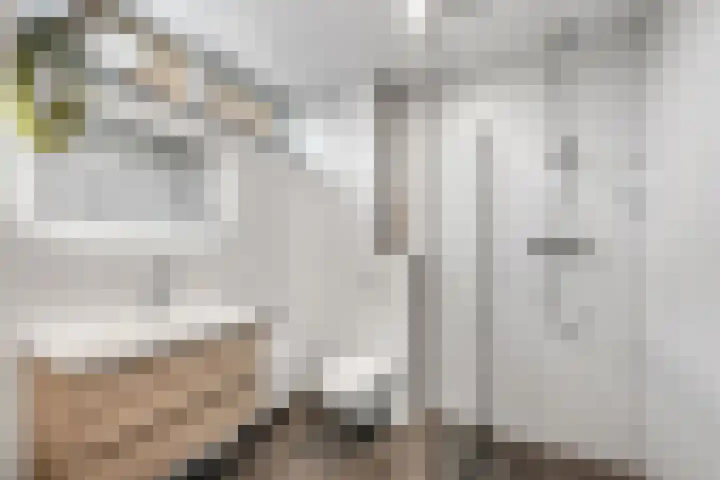 Spreeuwendaal 16 Nieuwerkerk aan den IJssel thumbnail 16