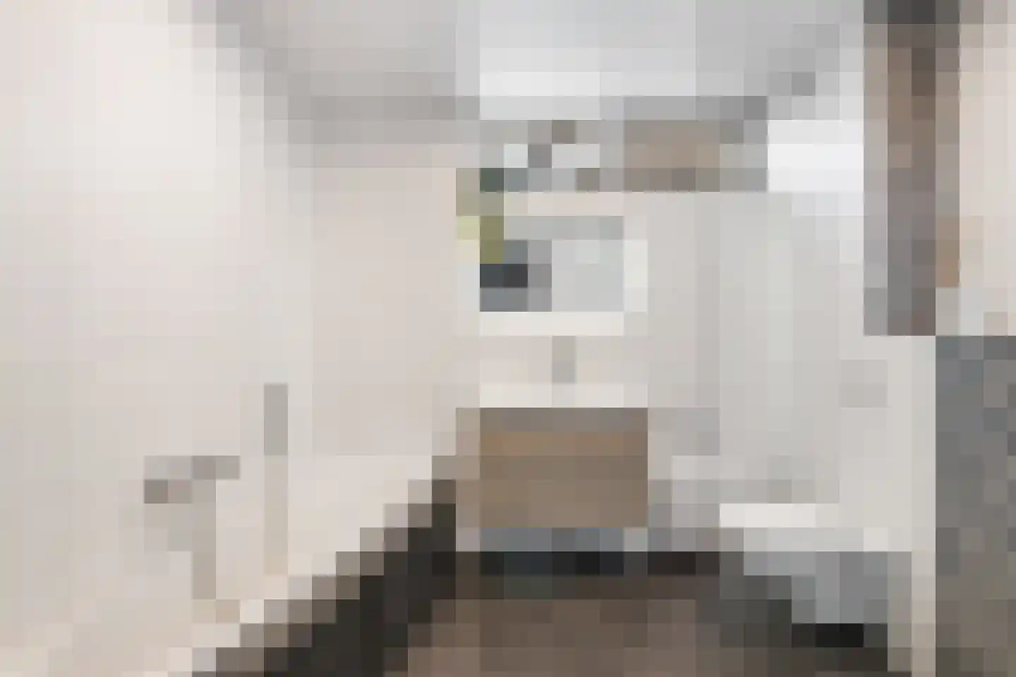 Spreeuwendaal 16 Nieuwerkerk aan den IJssel thumbnail 17