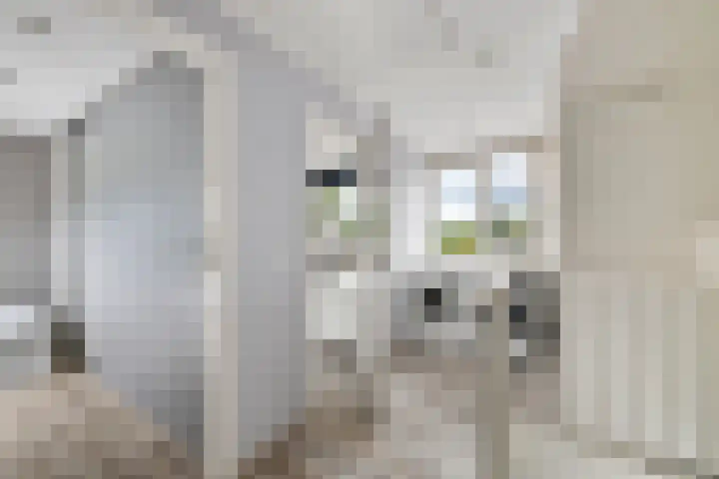 Spreeuwendaal 16 Nieuwerkerk aan den IJssel thumbnail 18
