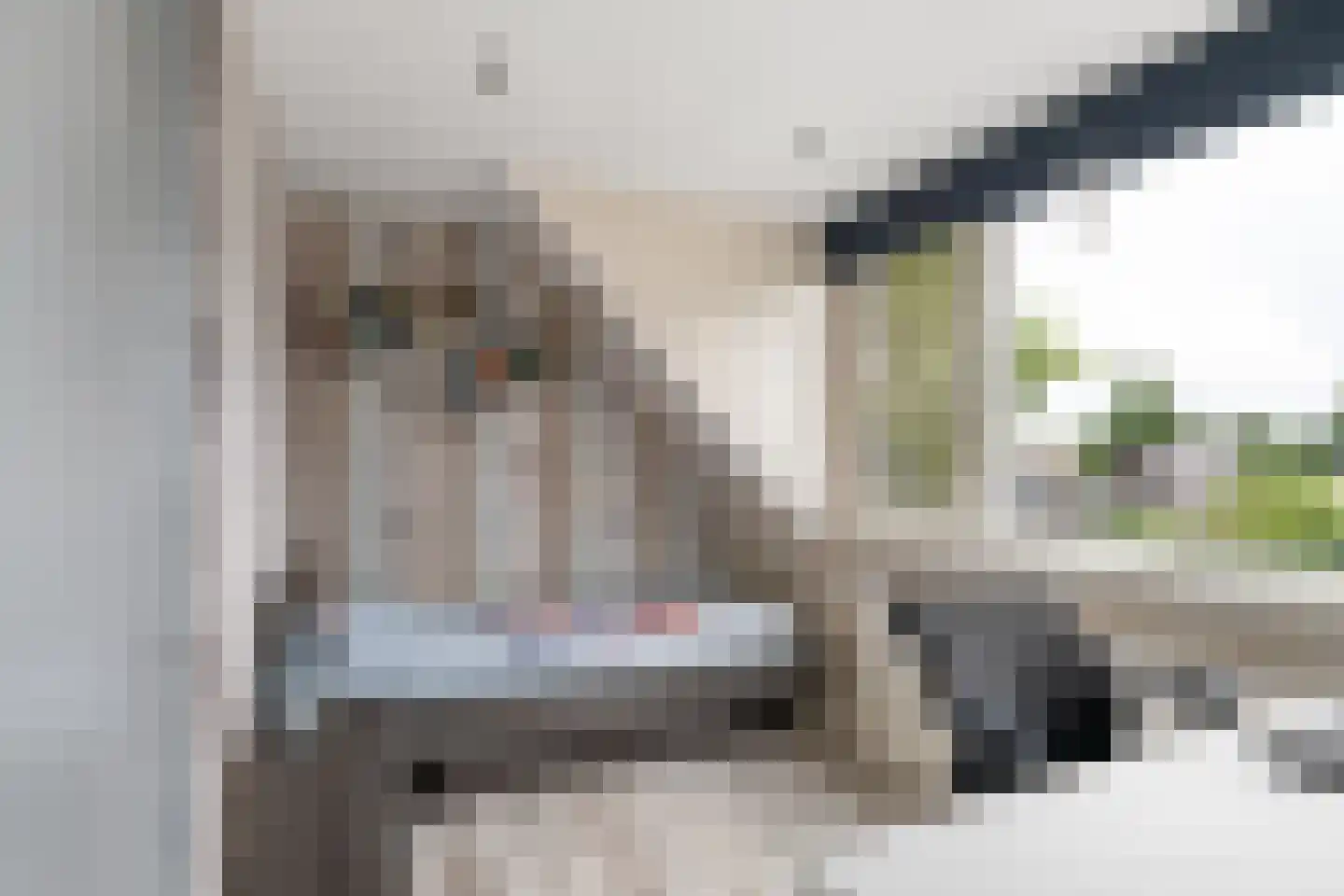 Spreeuwendaal 16 Nieuwerkerk aan den IJssel thumbnail 19