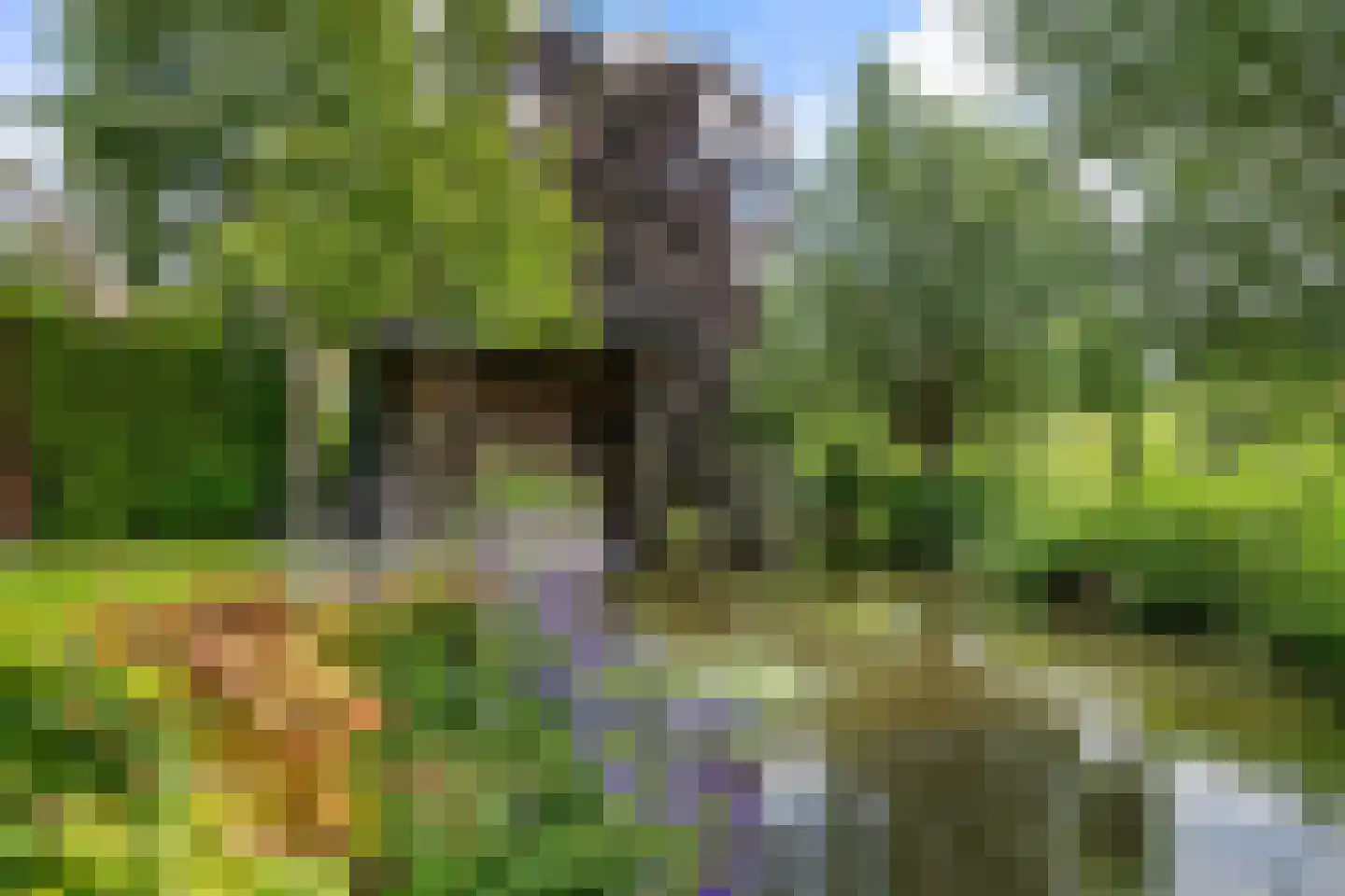 Spreeuwendaal 16 Nieuwerkerk aan den IJssel thumbnail 24