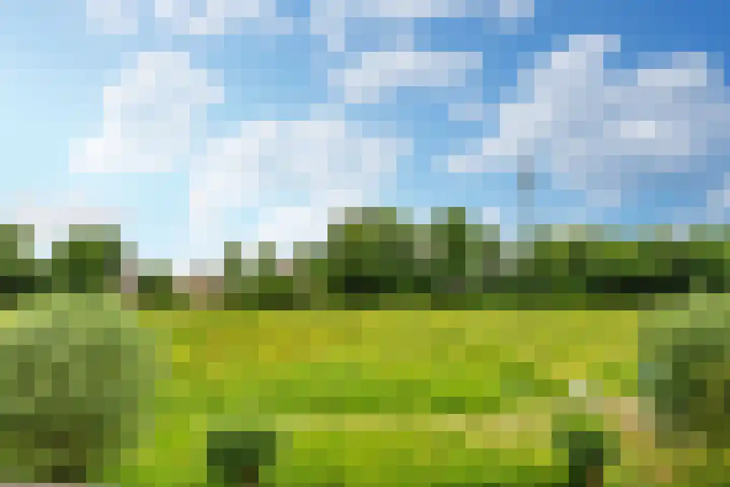 Spreeuwendaal 16 Nieuwerkerk aan den IJssel thumbnail 33