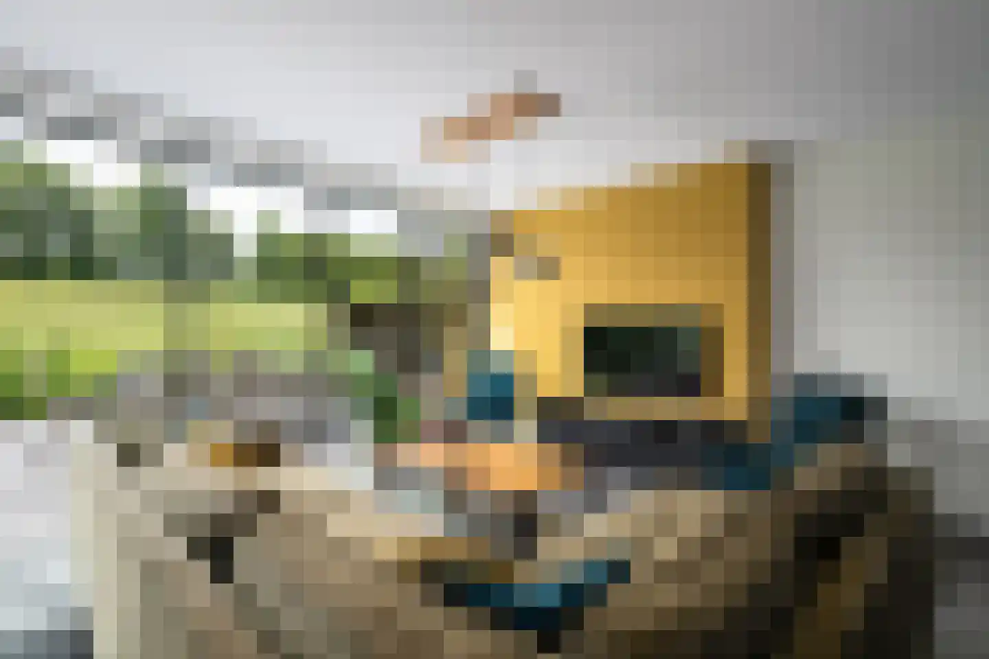 Spreeuwendaal 16 Nieuwerkerk aan den IJssel thumbnail 7