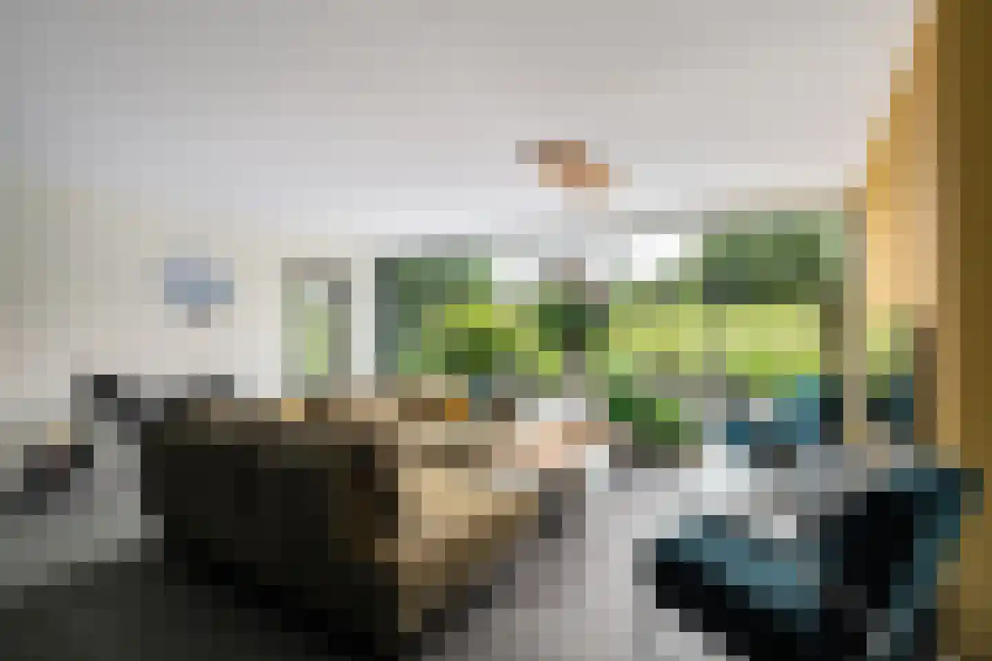Spreeuwendaal 16 Nieuwerkerk aan den IJssel thumbnail 8