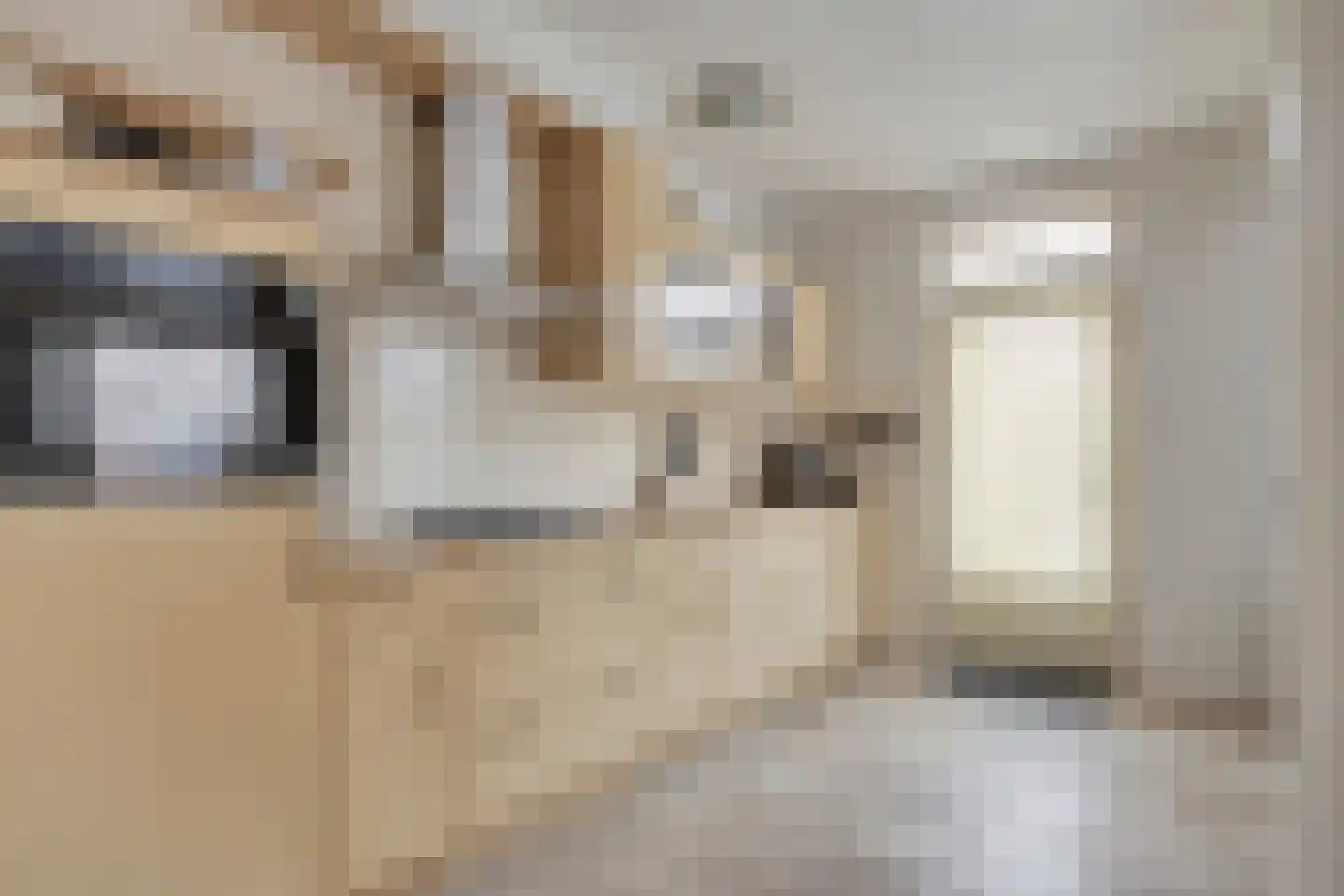 Spreeuwendonk 35 Veghel thumbnail 11