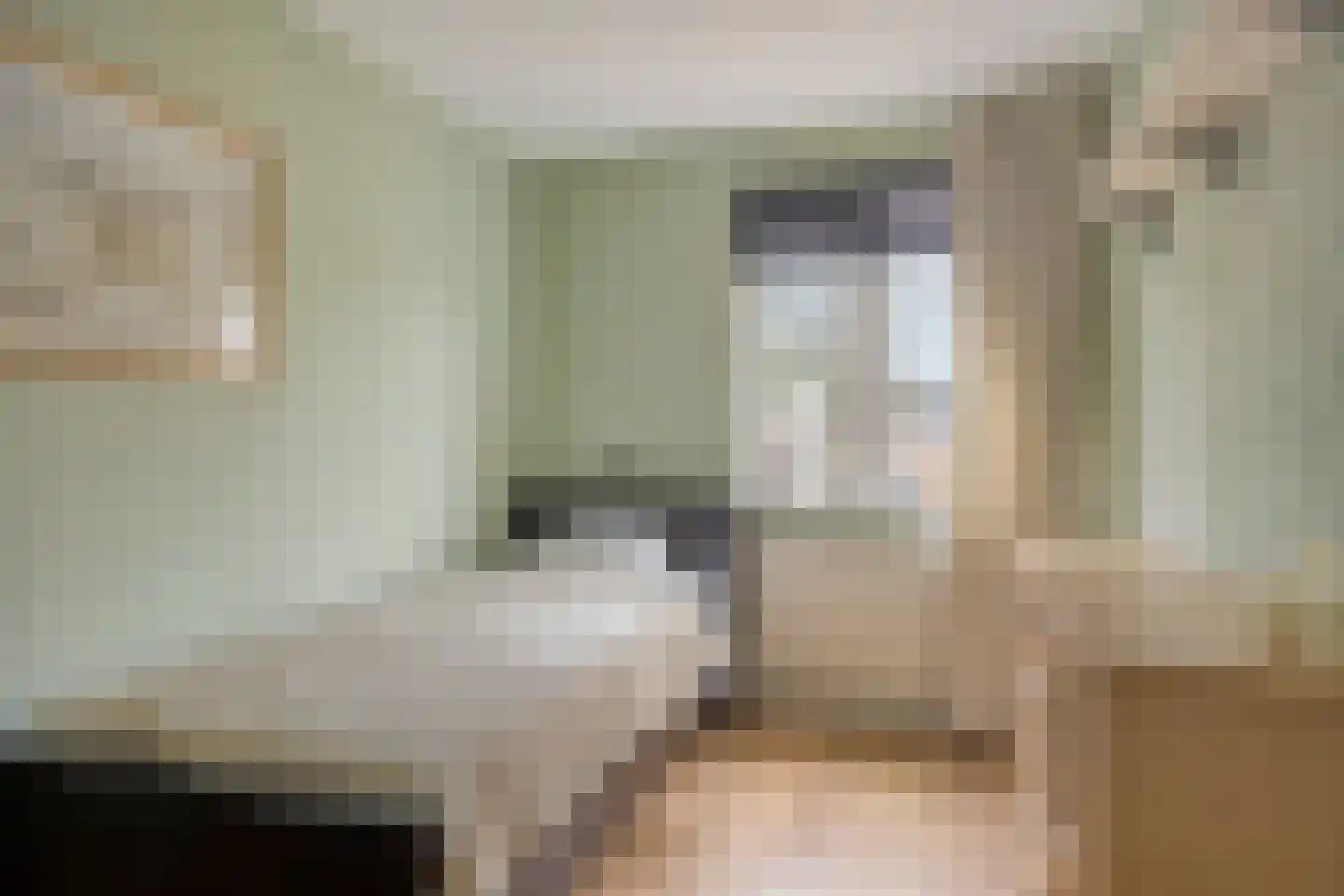 Spreeuwendonk 35 Veghel thumbnail 17