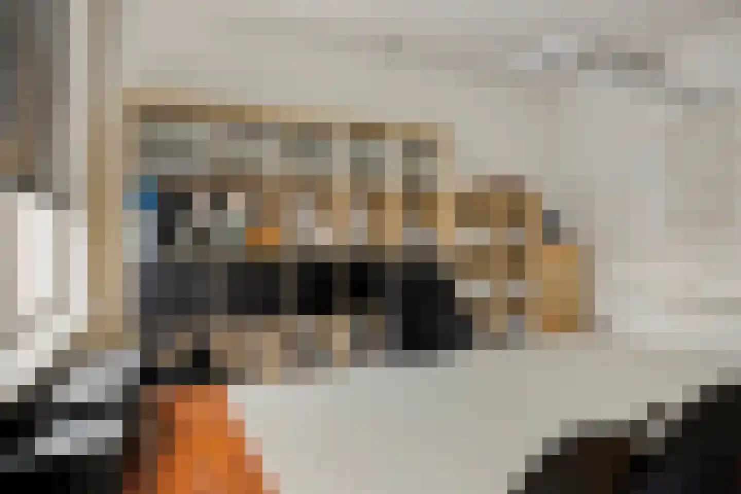 Spreeuwendonk 35 Veghel thumbnail 20