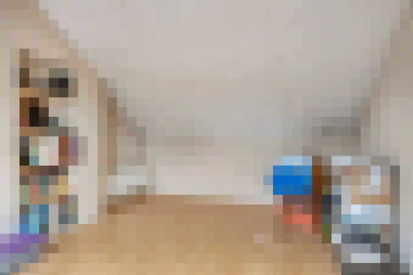 Spreeuwendonk 35 Veghel thumbnail 24