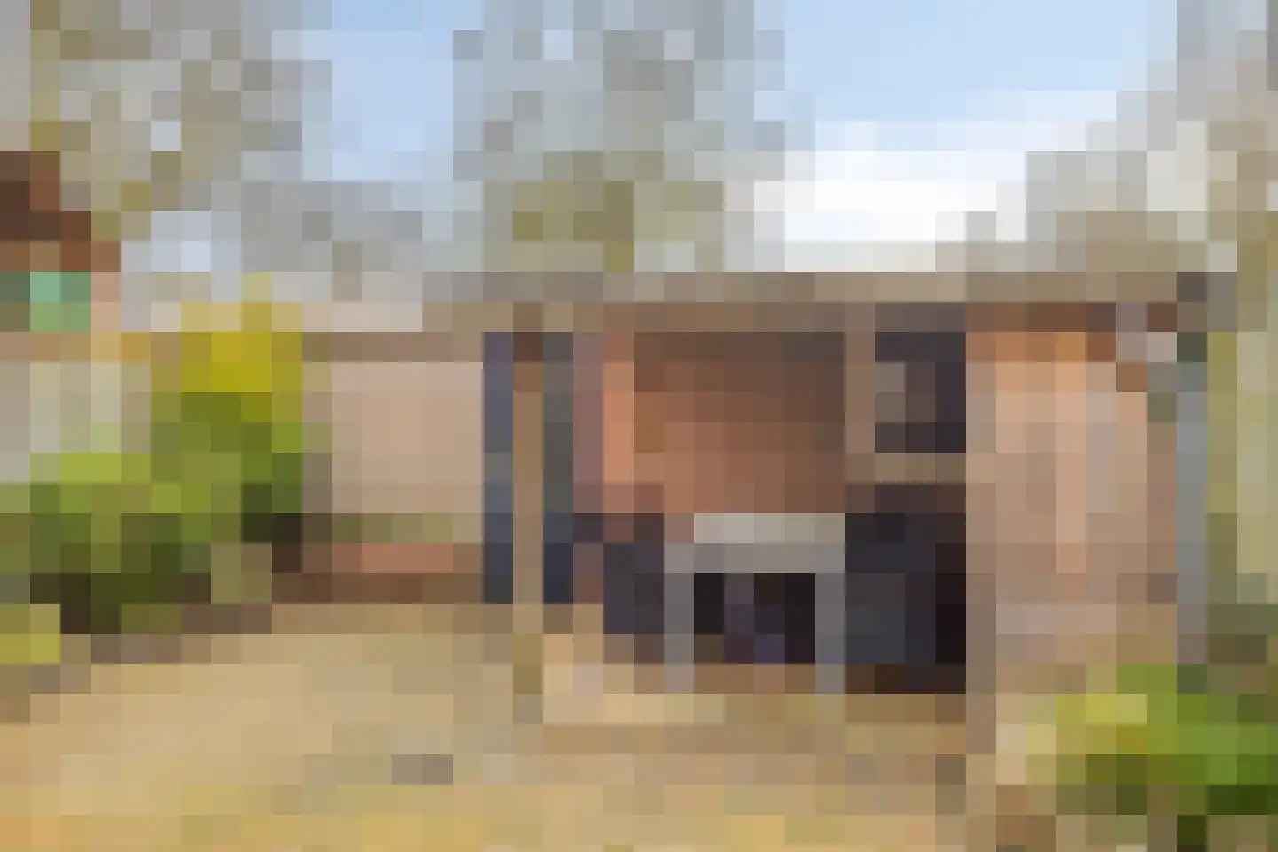 Spreeuwendonk 35 Veghel thumbnail 31