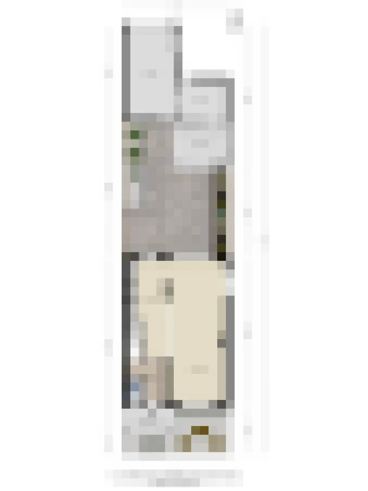 Spreeuwendonk 35 Veghel thumbnail 36