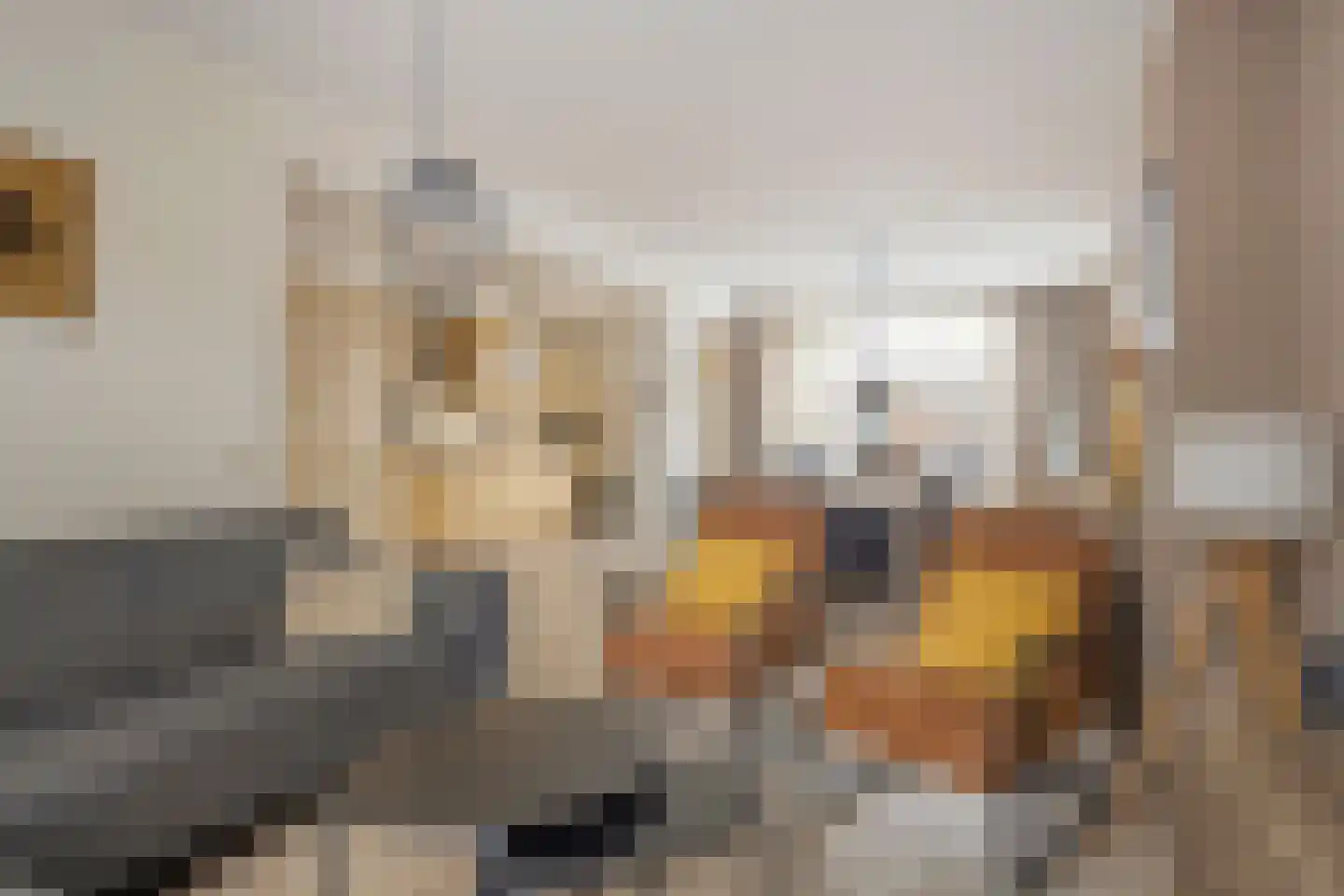 Spreeuwendonk 35 Veghel thumbnail 6
