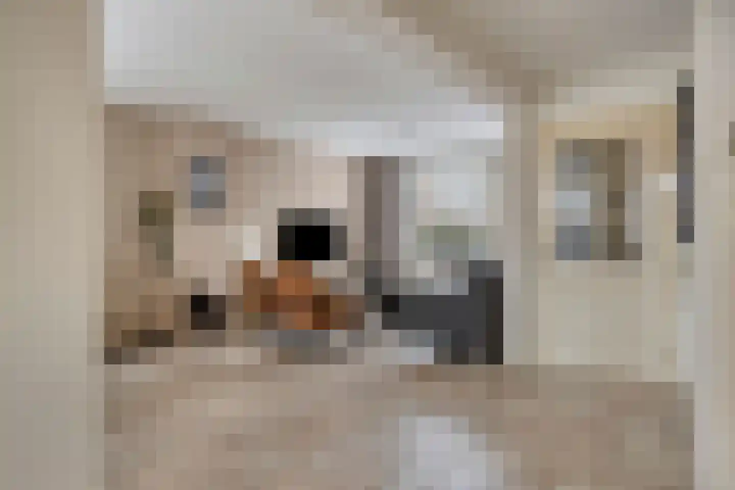 Spreeuwendonk 35 Veghel thumbnail 7