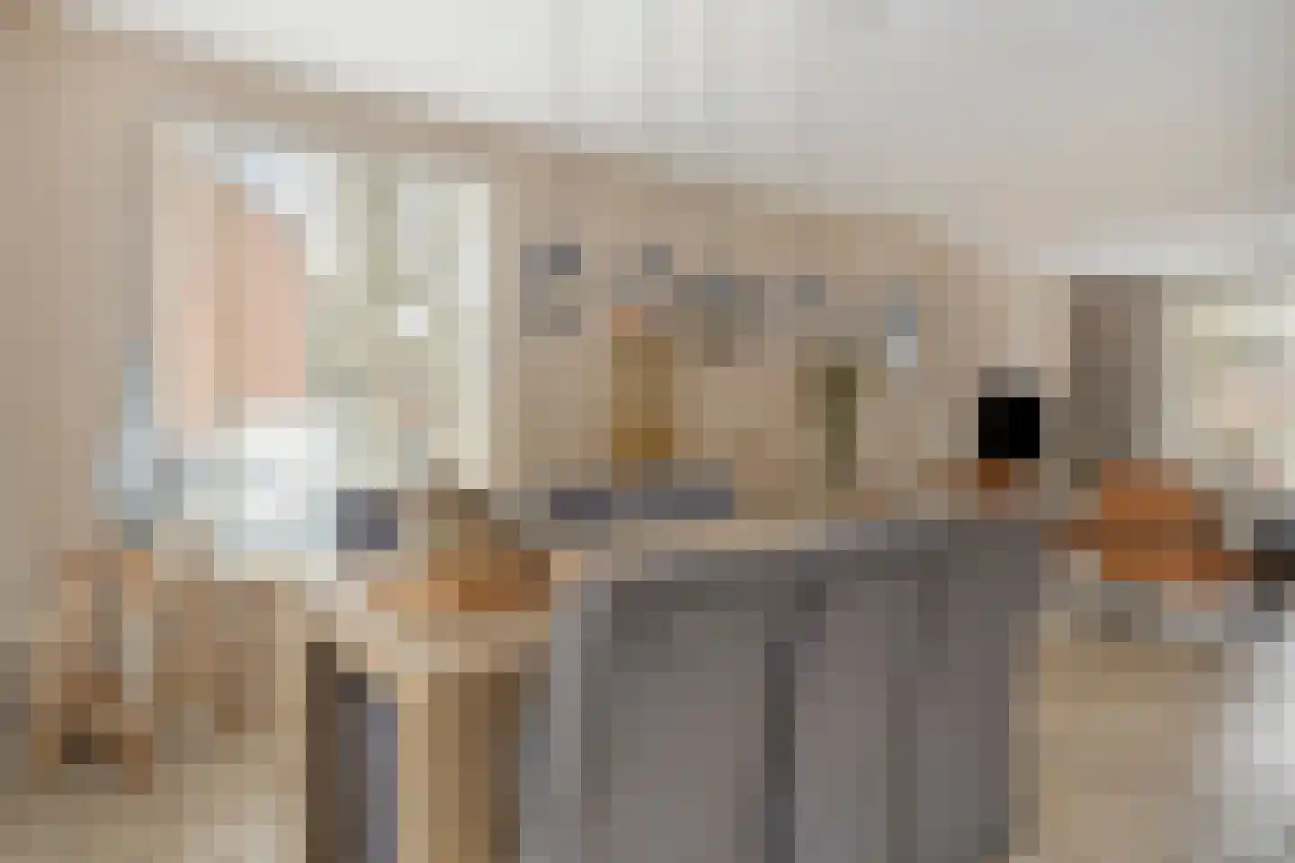 Spreeuwendonk 35 Veghel thumbnail 8