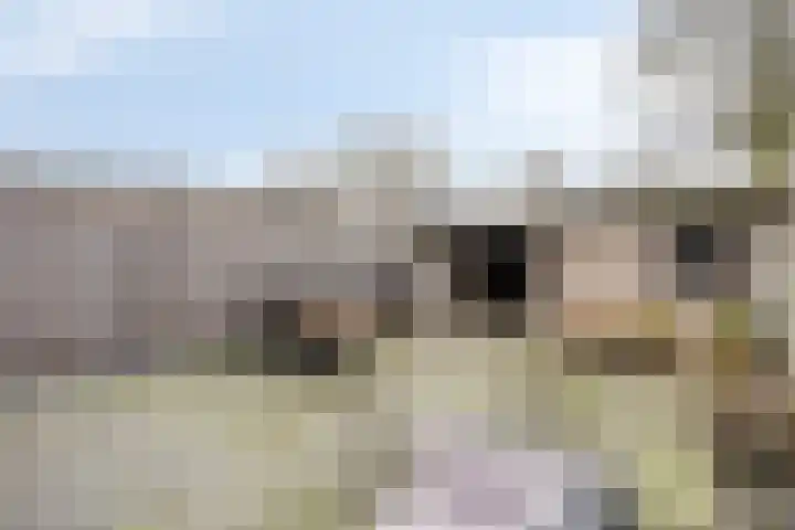 Spreeuwendonk 37 Veghel thumbnail 10
