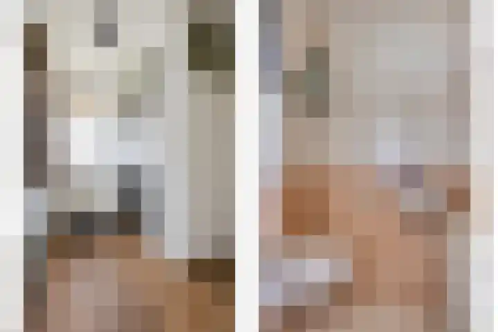 Spreeuwendonk 37 Veghel thumbnail 12