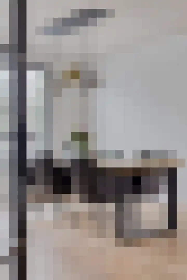 Spreeuwendonk 37 Veghel thumbnail 14