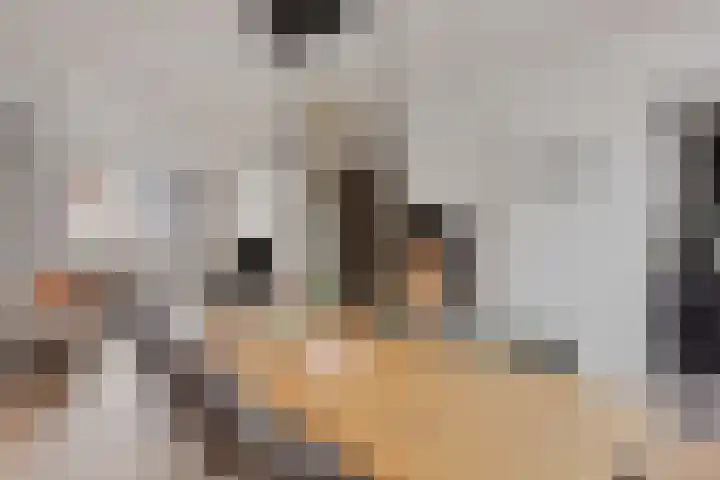 Spreeuwendonk 37 Veghel thumbnail 18
