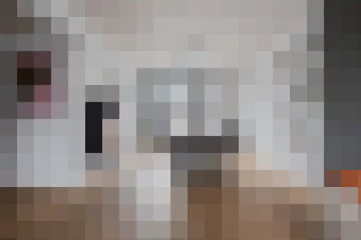 Spreeuwendonk 37 Veghel thumbnail 20