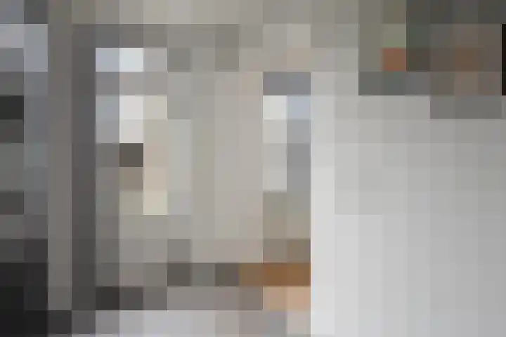 Spreeuwendonk 37 Veghel thumbnail 23