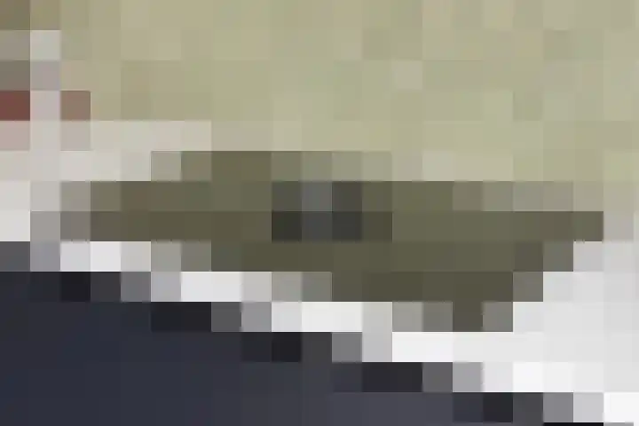 Spreeuwendonk 37 Veghel thumbnail 25