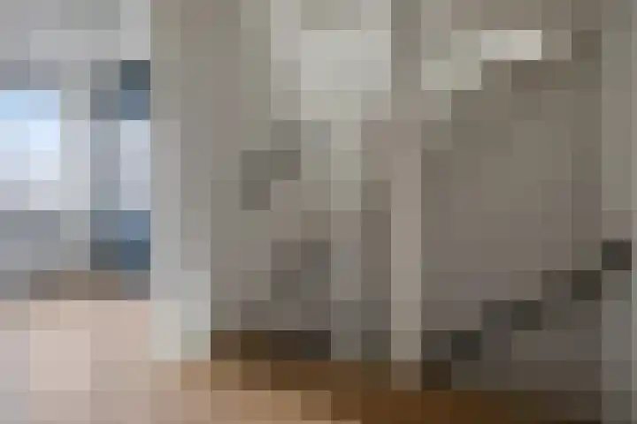 Spreeuwendonk 37 Veghel thumbnail 27