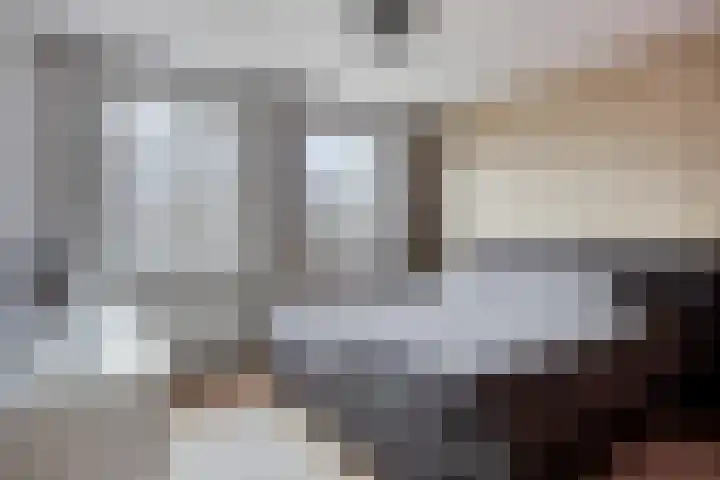 Spreeuwendonk 37 Veghel thumbnail 28