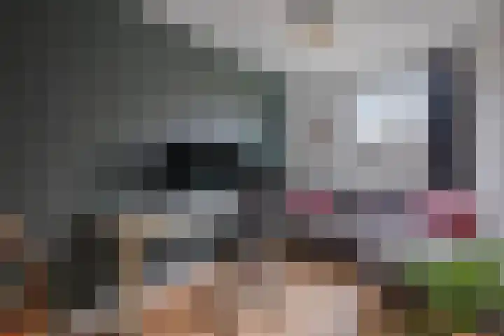 Spreeuwendonk 37 Veghel thumbnail 31