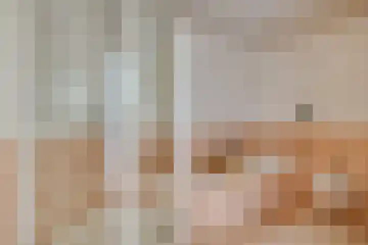 Spreeuwendonk 37 Veghel thumbnail 33