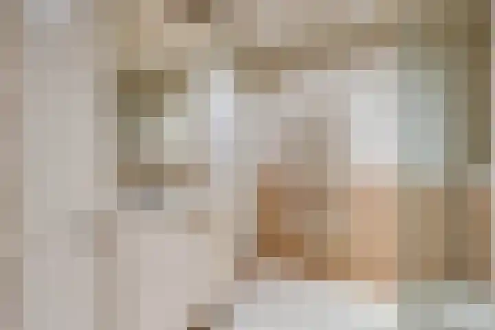Spreeuwendonk 37 Veghel thumbnail 34