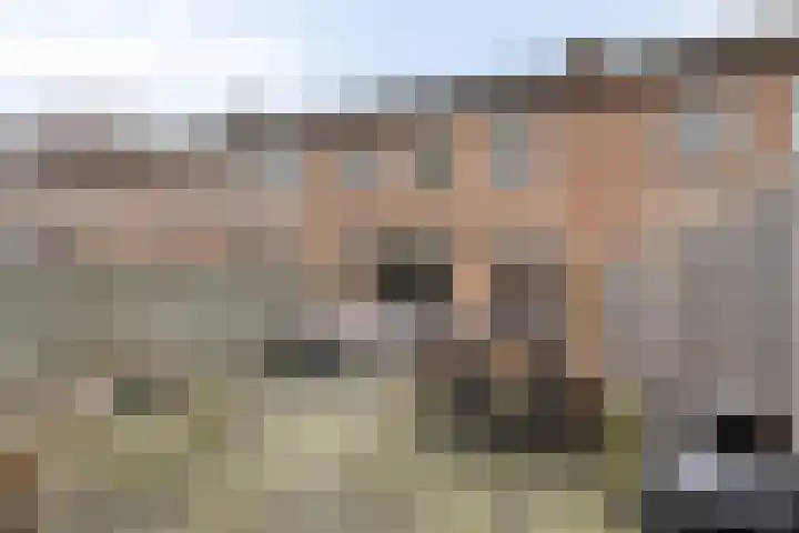 Spreeuwendonk 37 Veghel thumbnail 41