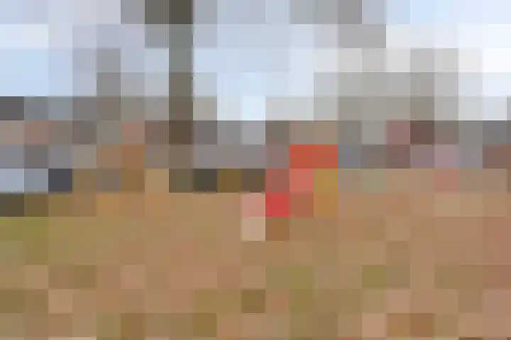 Spreeuwendonk 37 Veghel thumbnail 49