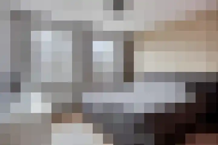 Spreeuwendonk 37 Veghel thumbnail 5