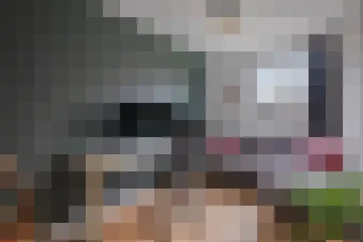 Spreeuwendonk 37 Veghel thumbnail 6