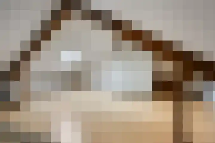 Spreeuwendonk 37 Veghel thumbnail 9