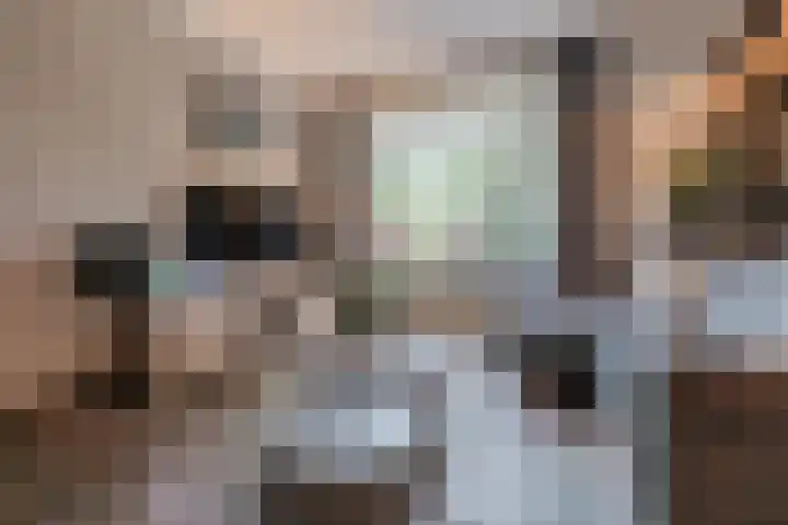 Spreeuwendonk 71 Veghel thumbnail 10